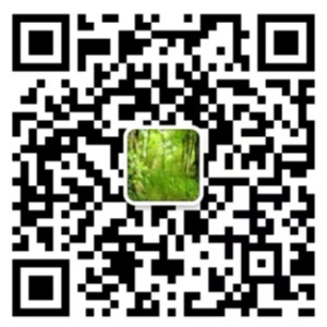 WeChat QR Code